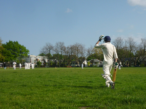 The Impact of IPL on Cricketing Groundskeeping Equipment Effectiveness